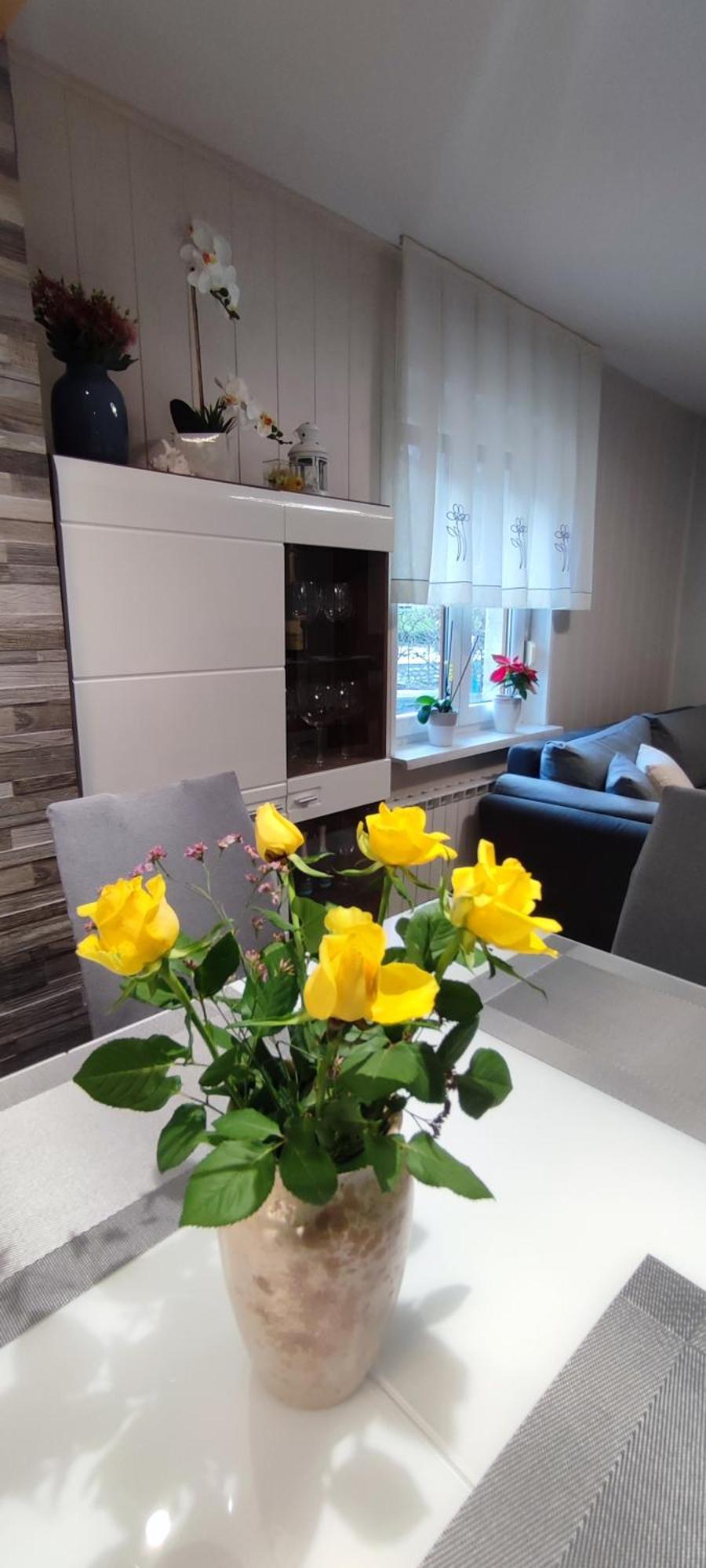 Apartma Soca Oasis Srpenica Kültér fotó